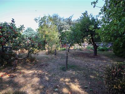 Picture 23
